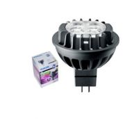 Đèn led chiếu điểm Master Led 6.5-50W 927/930/940 12V MR16 10/24/36/60D Dim